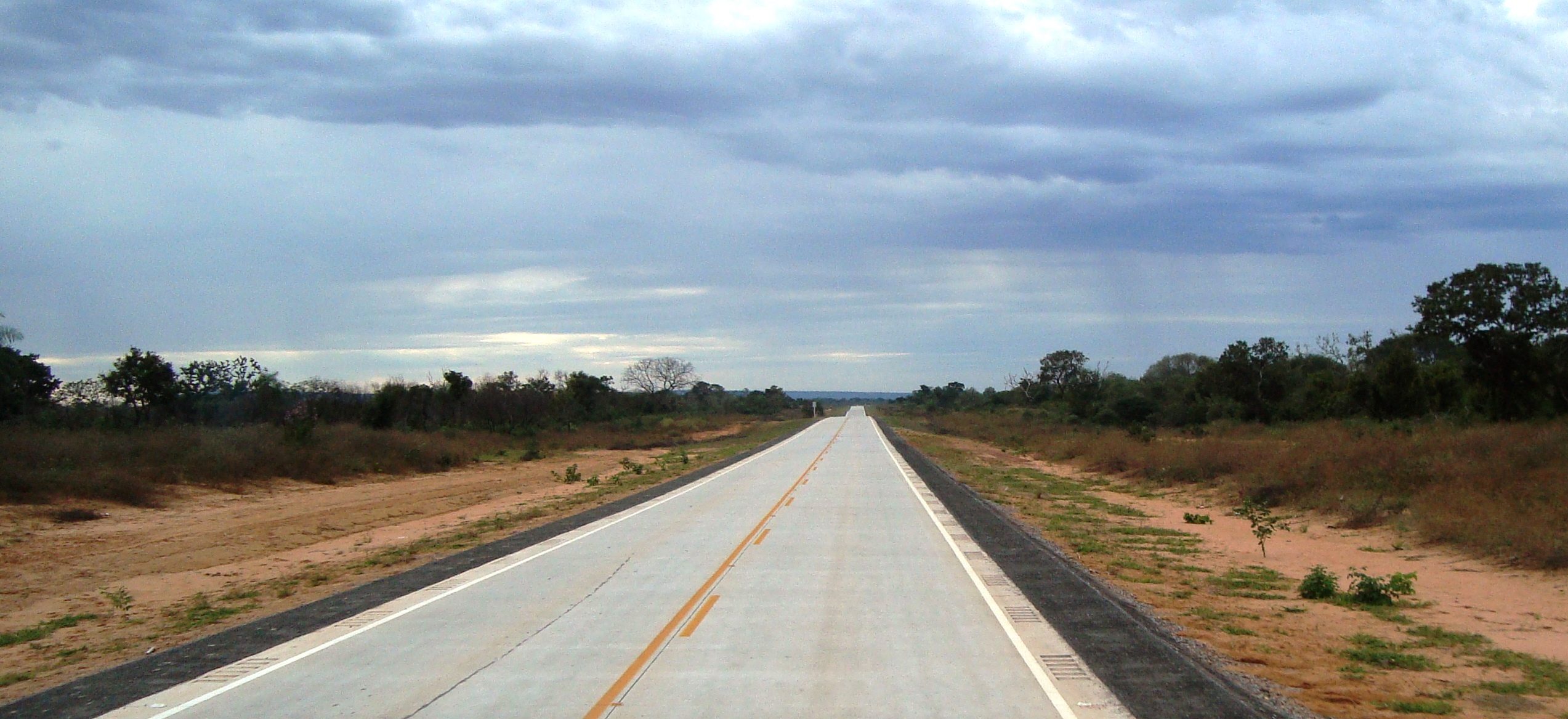 Carretera de concreto entre monte bajo, en el oriente boliviano